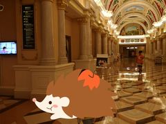 -重庆长寿碧桂园凤悦凤凰酒店