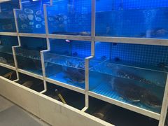 -聚丰园•湖鲜餐厅(阿红私房菜梅石路店)