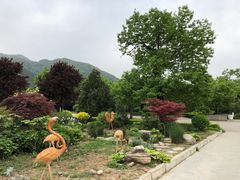 -西安秦岭野生动物园