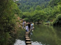 -夏霖九天银瀑风景区