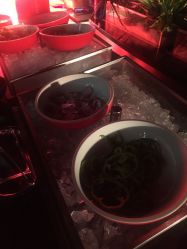 -青岛李沧绿城喜来登酒店·宴会厅