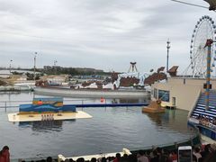 -秦皇岛乐岛海洋王国