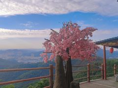 -东莞观音山旅游风景区