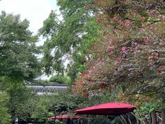 -杭州西子湖四季酒店-WL BISTRO西湖餐厅(灵隐路店)