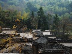 -塔川景区