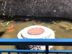 -三亚亚龙湾雅高美爵酒店