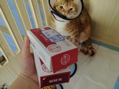 -博特宠物医院24h犬猫全科.骨科·异宠