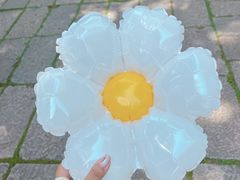 -上海方塔园