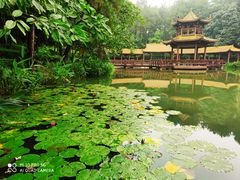 -铁山坪森林公园