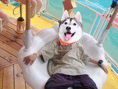 -杭州少年儿童公园
