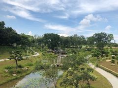 -东莞植物园