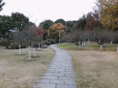 -宁波儿童公园(鄞州区)