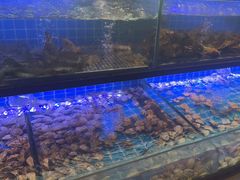 -透明思烤·自助烤肉海鲜火锅(东部星悦天地店)
