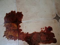 -酷宠动物医院(天通西苑店)