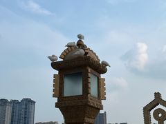-安阳博物馆