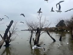 -捞渔河湿地公园