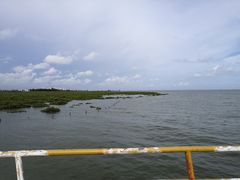 -北海金海湾红树林生态旅游区