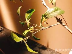 -见山茶事(丽水路店)
