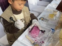-利星行天竺之星汽车有限公司