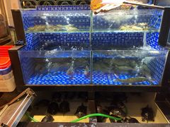 水产区-农汤老店(顺联公园里店)