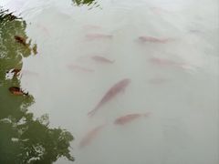 -宗角禄康公园