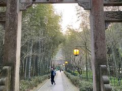 -西湖风景区十里琅珰-五云山