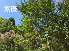 -白塘生态植物园