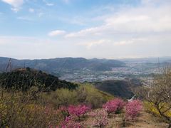-鬼笑石后山停车场