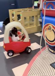 点击看大图 -MELAND CLUB亲子乐园·派对·餐厅(北京芳圆里ID MALL店)