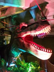 -恐龙探索乐园(磁器口店)
