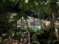 -绿光森林餐厅