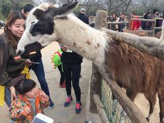 -西安秦岭野生动物园