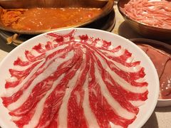 -小龙坎火锅(全球旗舰店)