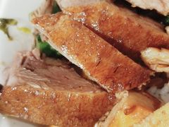 -狮头牌卤味研究所·卤味饭(花城汇南区店)