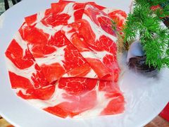 -九鼎轩脆毛肚火锅(三钢里店)
