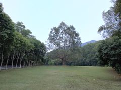 -深圳仙湖植物园