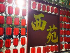 -西苑公园
