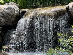-大连植物园