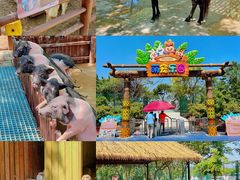 -海合安天津极地海洋公园