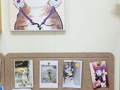 -美联众合动物医院·24h转诊中心