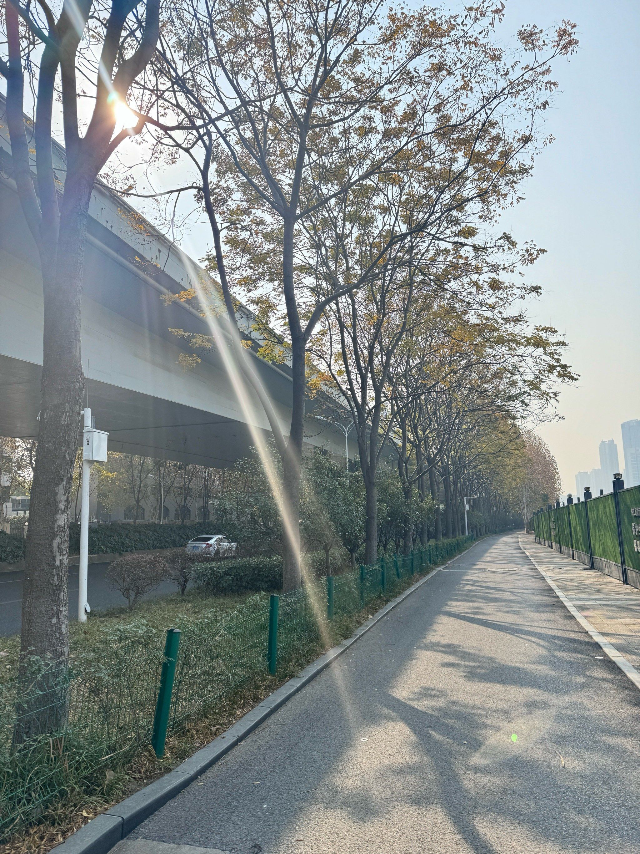 今天阳光是真的好啊,我沿着步道走一走