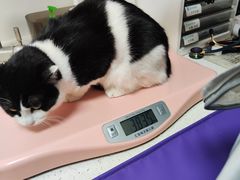 -美联众合动物医院·24h京西诊疗中心