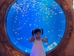 -华夏文旅西安度假区