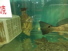 -明记海鲜美食老字号(明记总店)