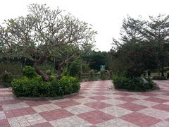 -广东茂名森林公园