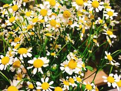 -缦云里花园餐厅
