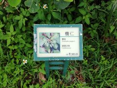 -鹅銮鼻公园