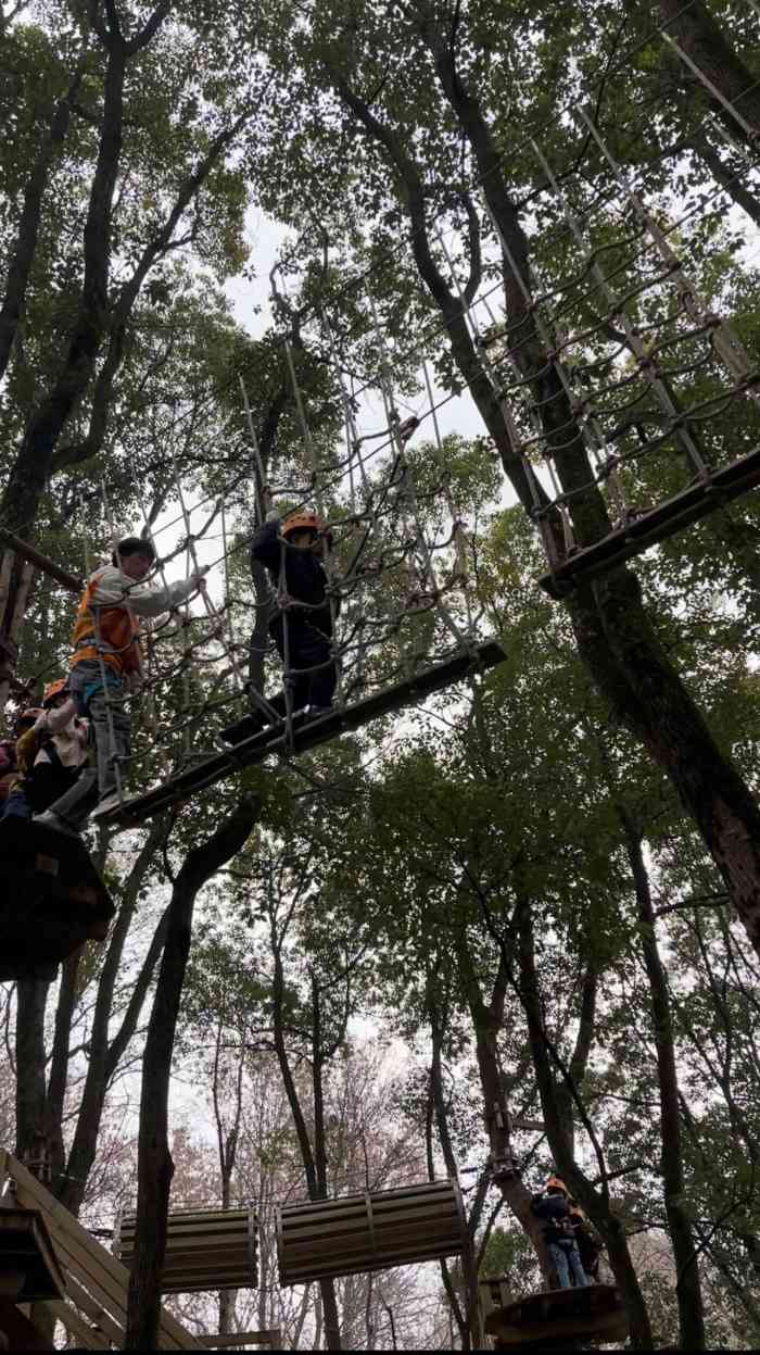 紫金山探险公园-"地点在紫金山灵谷寺边上分为三个大区域.一.