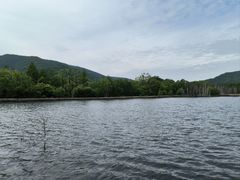 -洮儿河国家湿地公园
