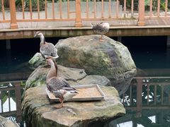 -南宫五洲植物乐园